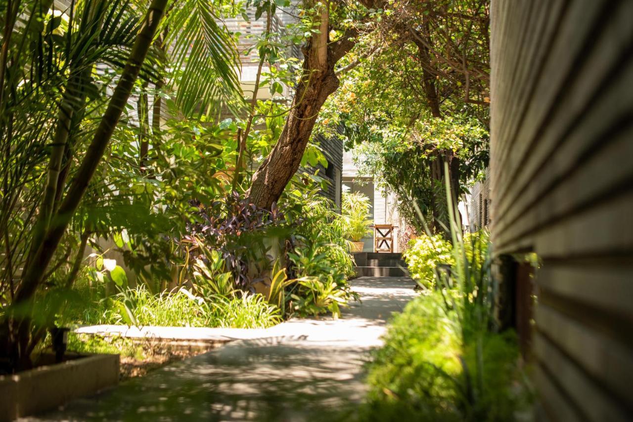 Готель Nardazul "Casa De Suenos" Oaxaca Екстер'єр фото
